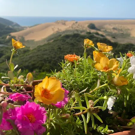 Le Dune *
